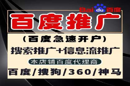 探索sem竞价广告的奥秘：从案例看效果提升